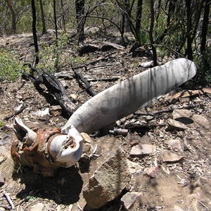 Kroombit Tops National Park