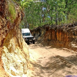 Moreton Island National Park