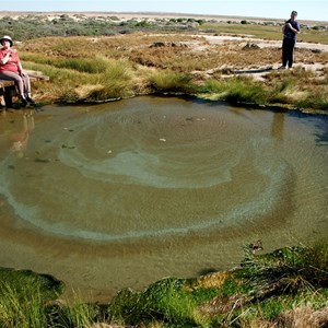 Wabma Kadarbu Mound Springs Conservation Park