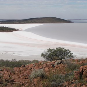Lake Gairdner National Park
