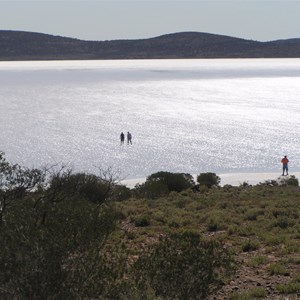 Lake Gairdner National Park