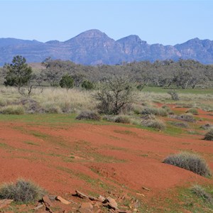 Flinders Ranges National Park