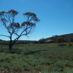 Gawler Ranges Conservation Reserve