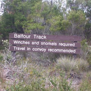 Balfour Track Forest Reserve