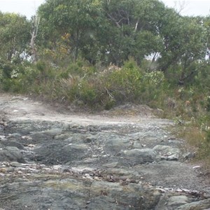 Balfour Track Forest Reserve