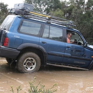 Balfour Track Forest Reserve