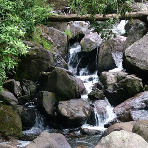 St Columba Falls State Reserve