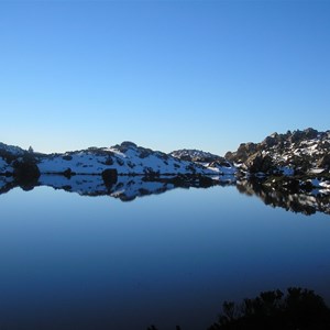 Mount Field National Park