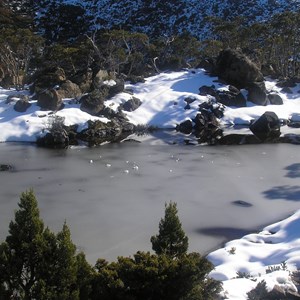 Mount Field National Park