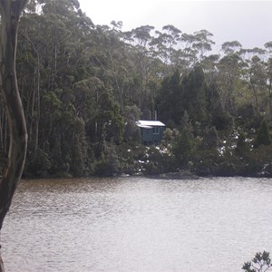 Mount Field National Park