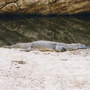 Windjana Gorge National Park