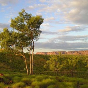 Purnululu National Park