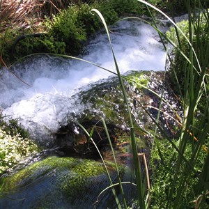 Millstream Chichester National Park