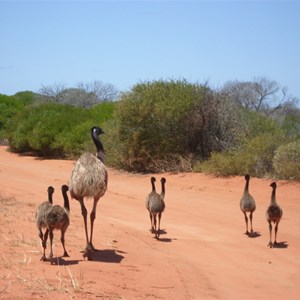 Francois Peron National Park