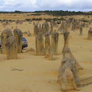 Nambung National Park