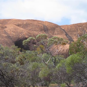 Elachbutting Nature Reserve