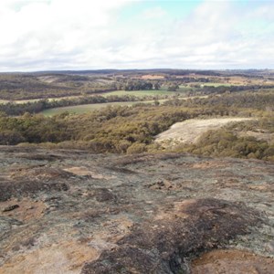 Boyagin Nature Reserve