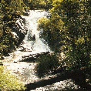 Beedelup National Park