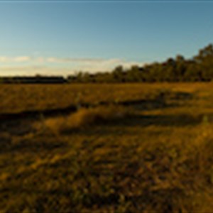Yarrie Lake