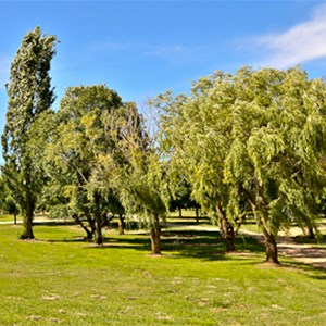 Carcoar Lake