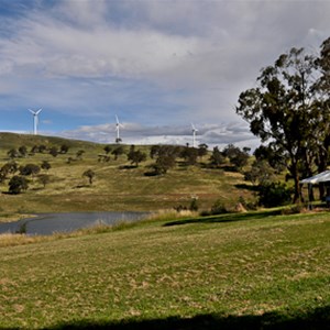 Carcoar Lake