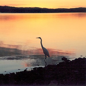 Awoonga Reservoir