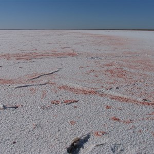 Pink algae left when wind blows water away