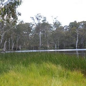 Lake Cobbler