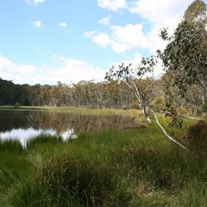 Lake Cobbler