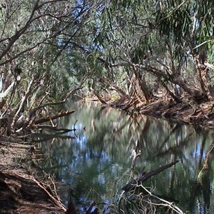 Eel Pool