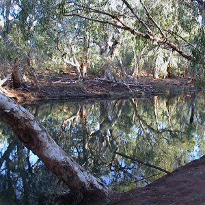 Eel Pool