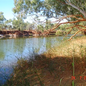 Cattle Pool