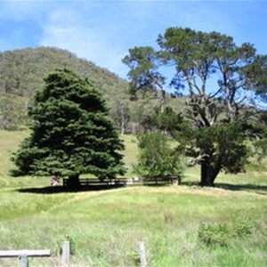 Wonnangatta Cemetery