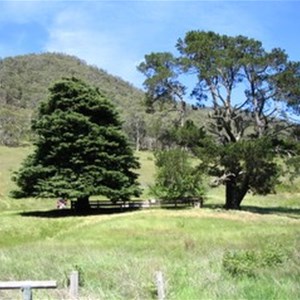 Wonnangatta Cemetery