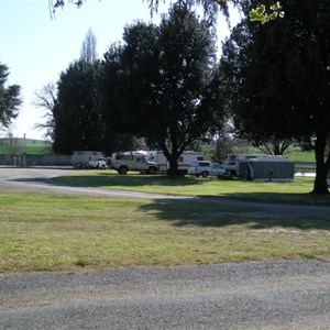 Molong Caravan Park