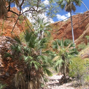 Echidna Chasm Conglomerate rock on left