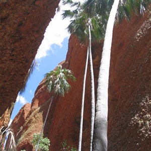 Echidna Chasm