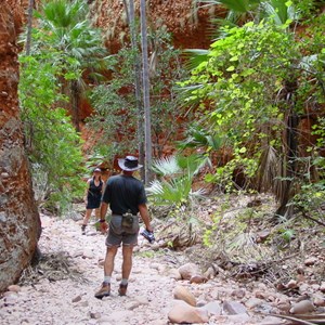 Echidna Chasm