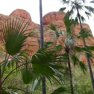 Echidna Chasm