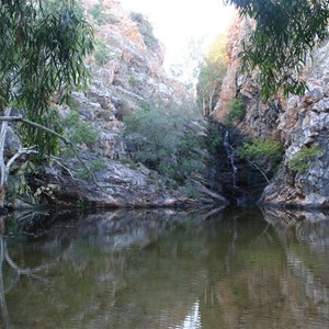 Butterfly Springs