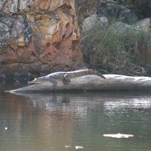 Butterfly Springs