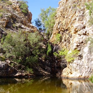 Butterfly Springs