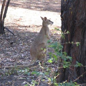 Katherine Gorge Campground