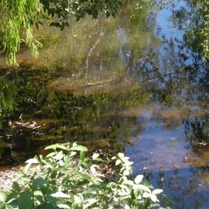 Bridge Creek Rest Area