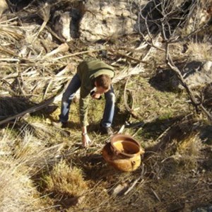 Painter Springs