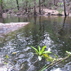 Gubara Pools