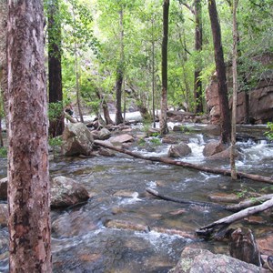 Gubara Pools