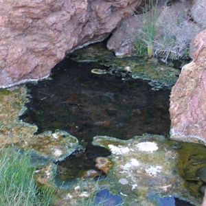 Paralana Hot Springs