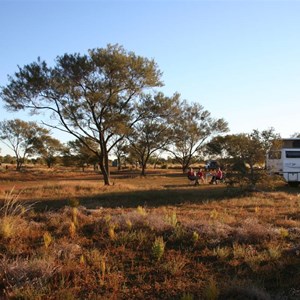 Rabbit Flat Roadhouse