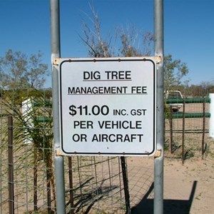 The Dig Tree